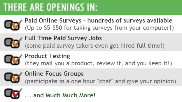 Surveys Paid earnings